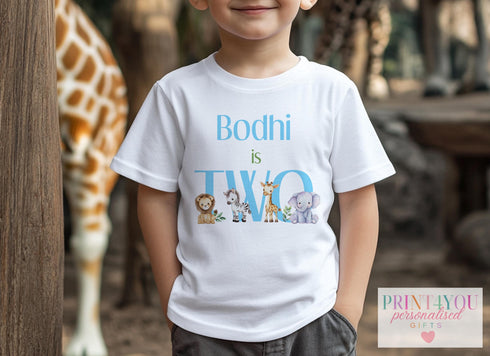 Children's clothing with the safari t-shirt design