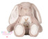 Children's clothing with the bunny gift design