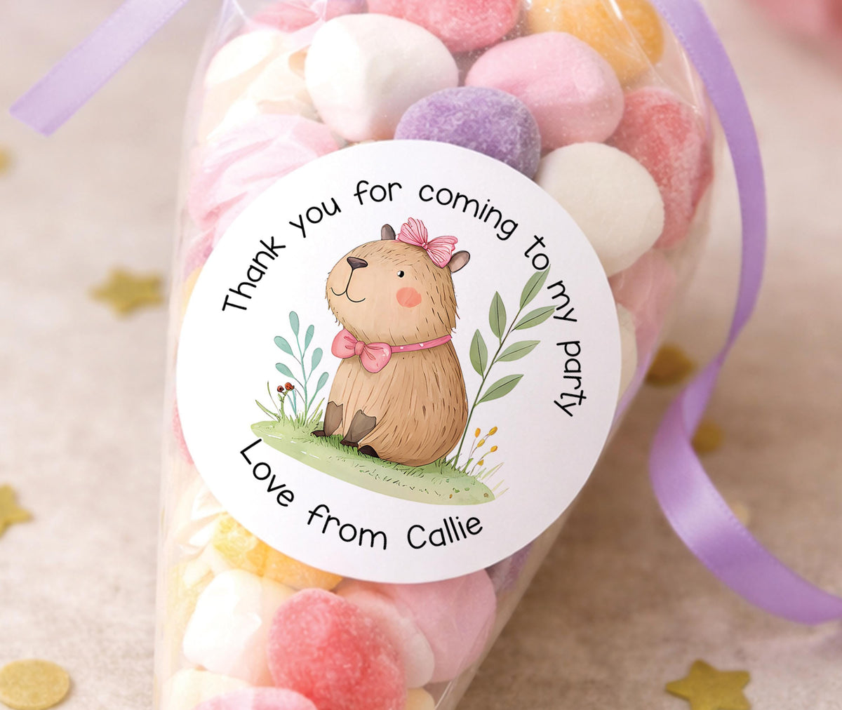 Sheet of round personalised party stickers featuring a cute capybara design with a child's name