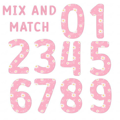 Mix & Match Teddy Bear and Pink Daisy Numbers PNG – Create Any Number Combination – Instant Download