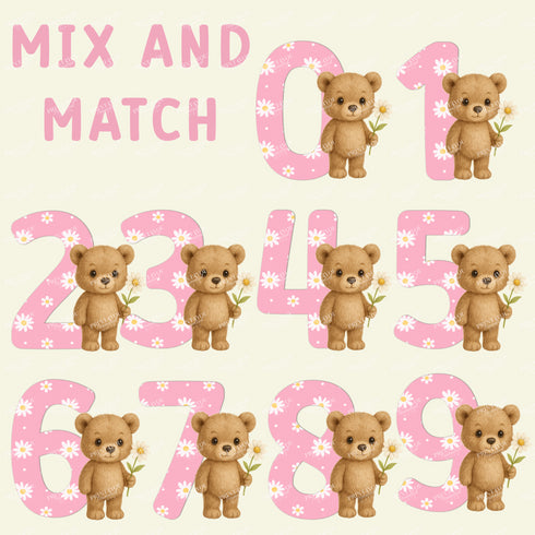 Mix & Match Teddy Bear and Pink Daisy Numbers PNG – Create Any Number Combination – Instant Download