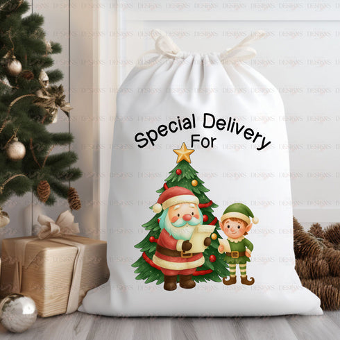 Special Delivery Santa and Elf (Exclusive, Only 20 Sets Available)
