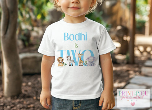 Children's clothing with the safari t-shirt design