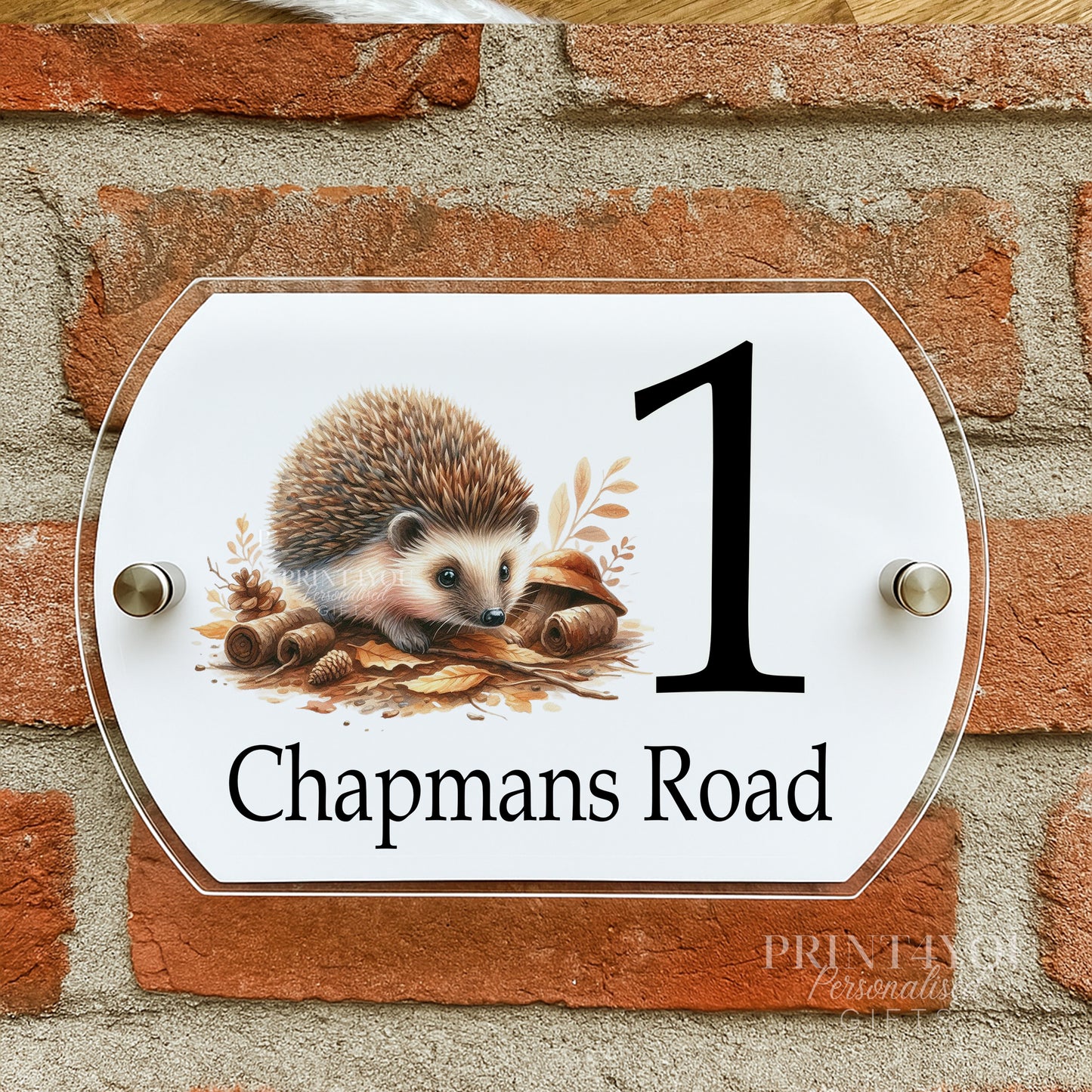 Personalised Acrylic External Door Number Plates Plaques ND2 Hedgehog Design - Printed Backplate only
