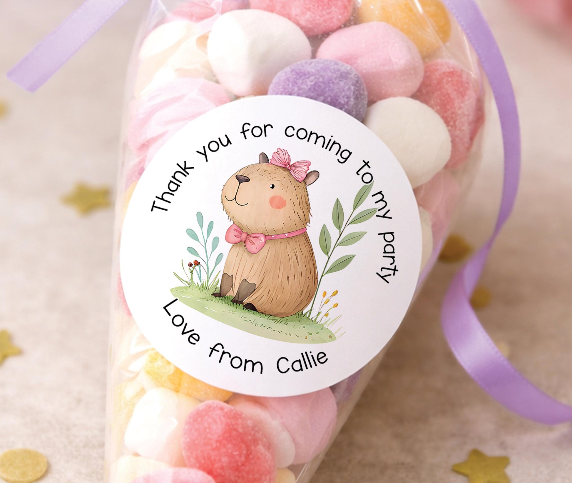 Sheet of round personalised party stickers featuring a cute capybara design with a child's name