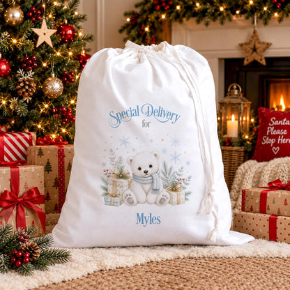 Personalised Santa Sack, Polar Bear Christmas Eve Bag, Large Cotton