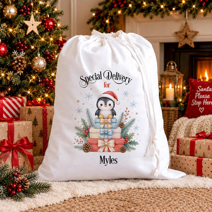 Personalised Penguin Christmas Sack | Name Santa Sack For Kids UK
