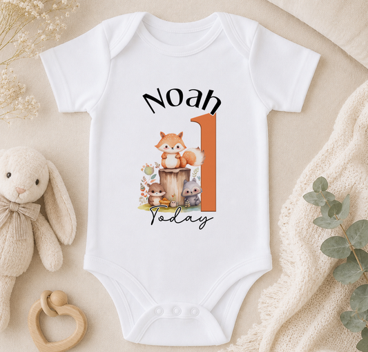 A white onesie with a graphic of a baby rabbit and the text "Noah 1 Today" printed on it, along with a stuffed animal rabbit and some greenery.