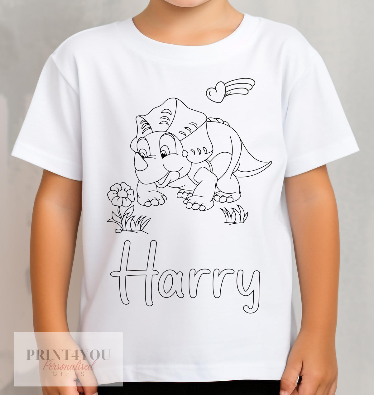 Personalised dinosaur colour-in kids t-shirt with washable pens, size 1-2 years, front view