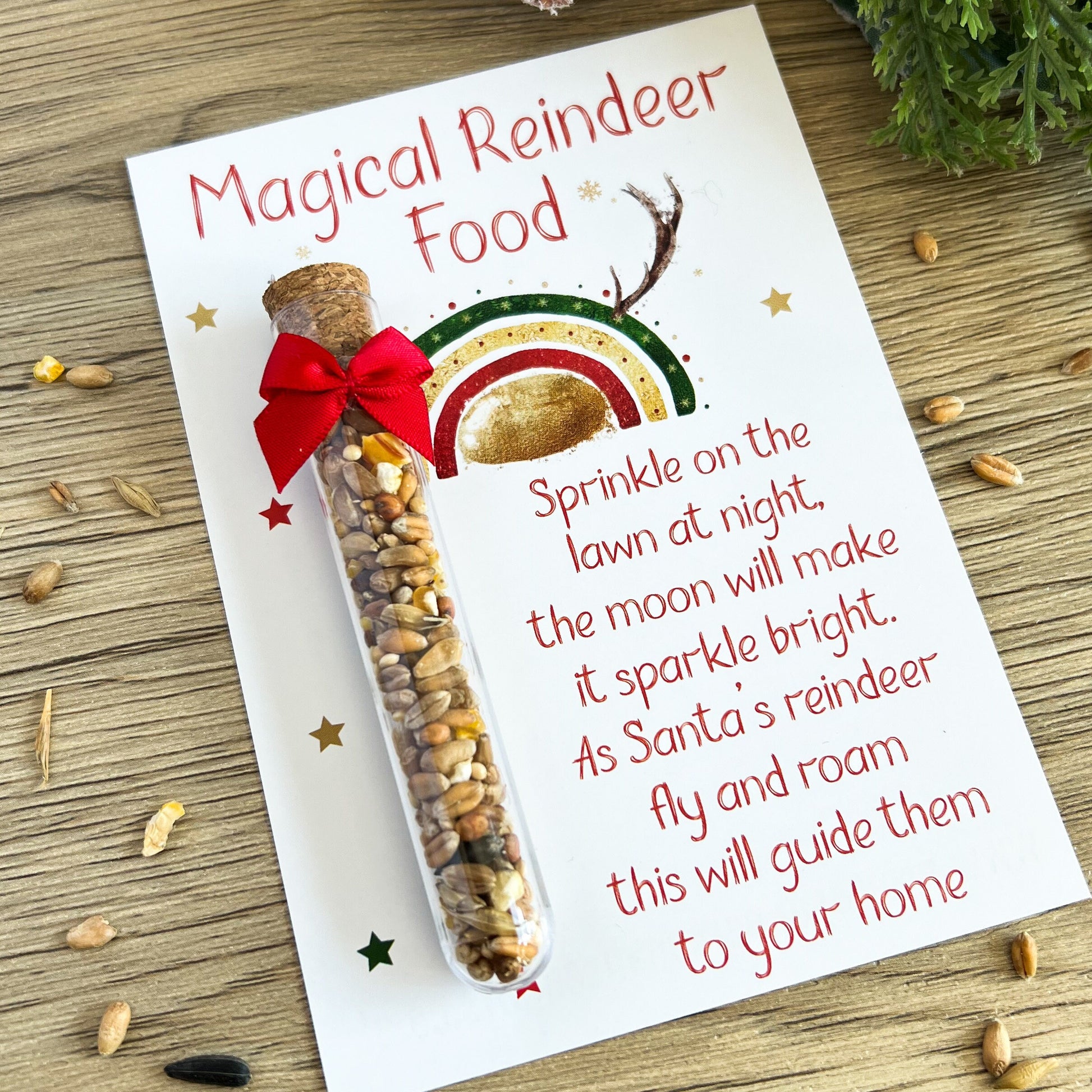 Christmas Eve Box Filler Reindeer Food in Wildlife – Friendly Plastic Tube with Cork